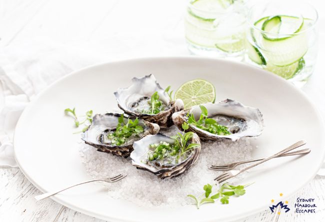 10   EV ARCADIA 2025 